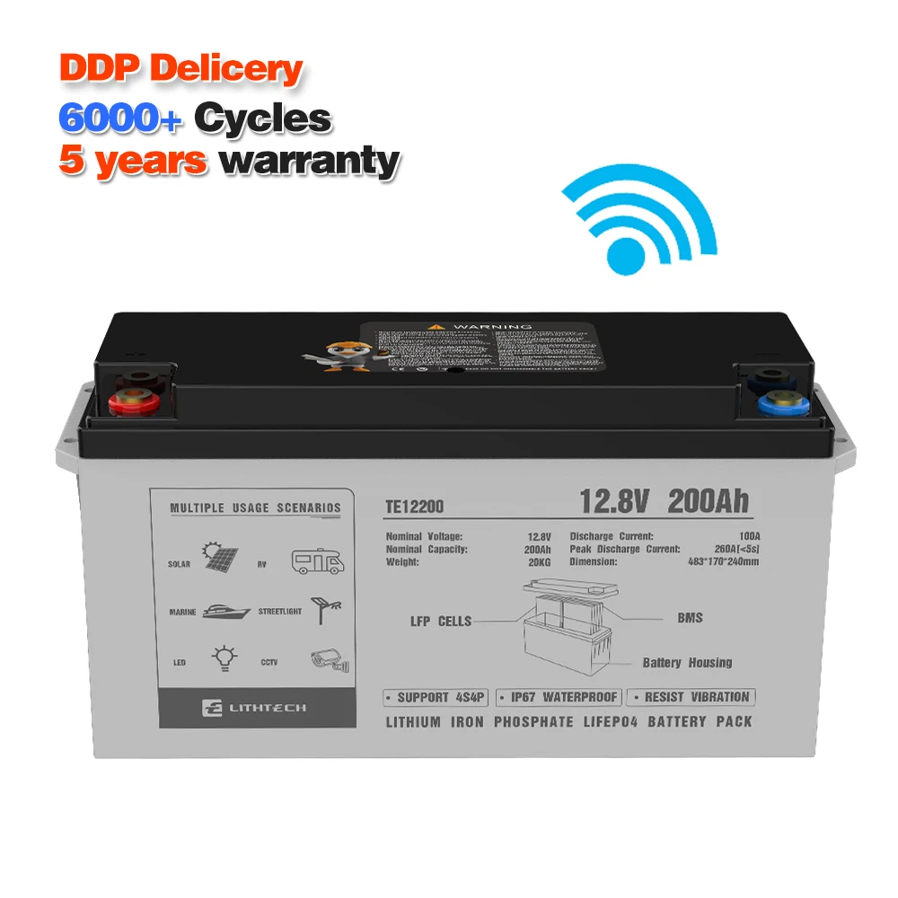 12V Lithium Iron Phosphate Battery Pack Deep Cycle 12v 50ah 100ah 200ah 300ah Solar Lifepo4 Batteries