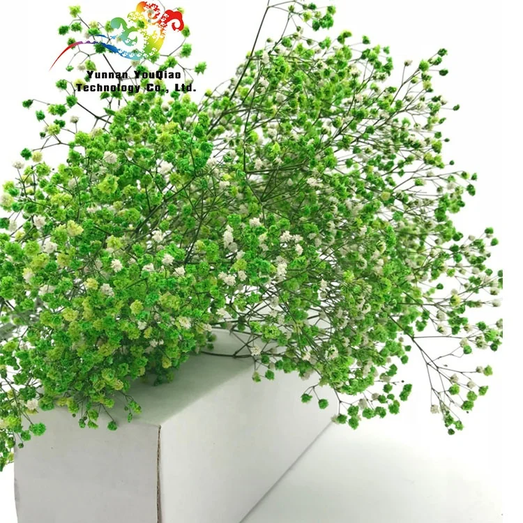  2020 Новое поступление сушеных консервированных гипсофил детский цветок на дыхание 30-40 см для подарков день Святого Валентина и украшения дома офиса