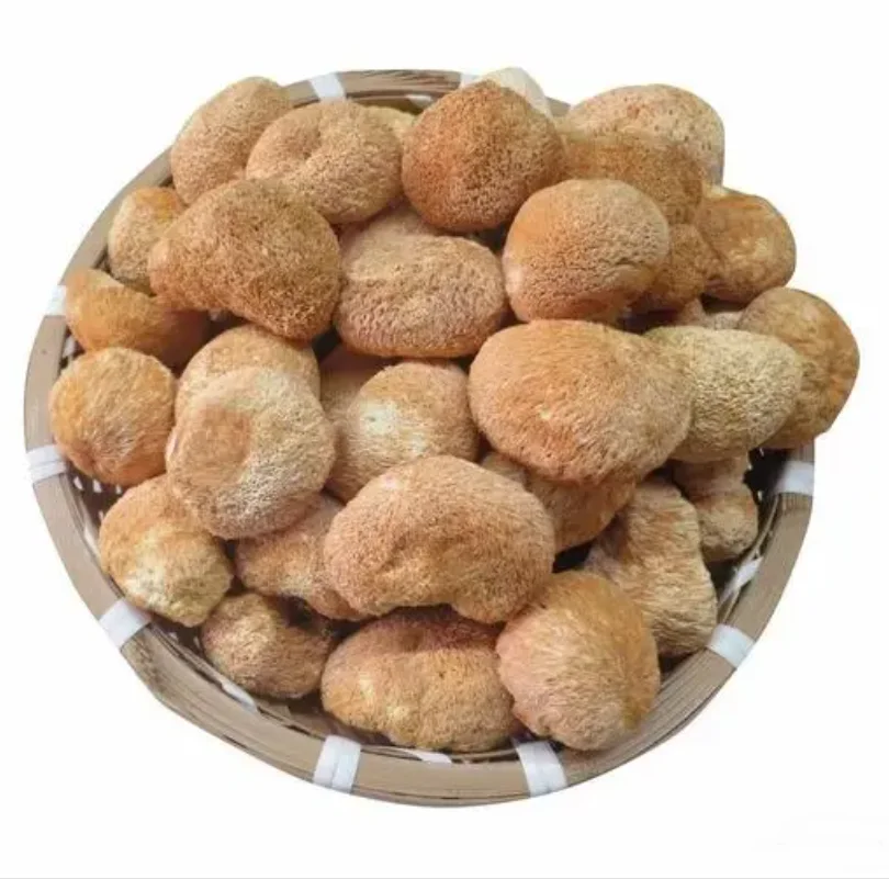 High Quality Deep-Mountain Hericium Erinaceus (Dried Large Cocklebur Mushrooms) Shiitake Fungus Whole Plant Extract for Food Use