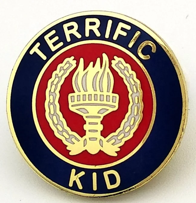 Custom Gold Plated Metal Enamel Lapel Pins Brass Hard Enamel Lapel Pins