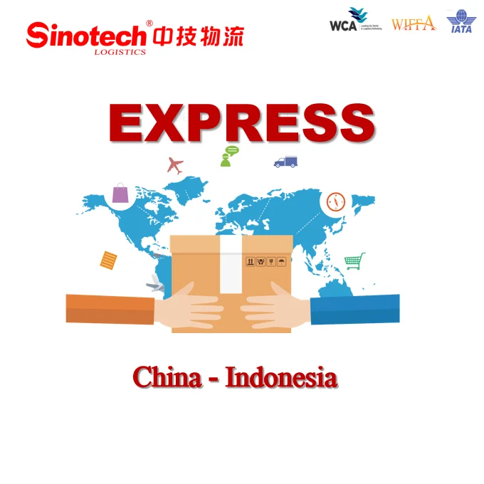 DDP DDU Freight Forwarder Sea Shipping Cargo Freight From China to Southeast Asia, Vietnam, Indonesia, Singapore Door to Door