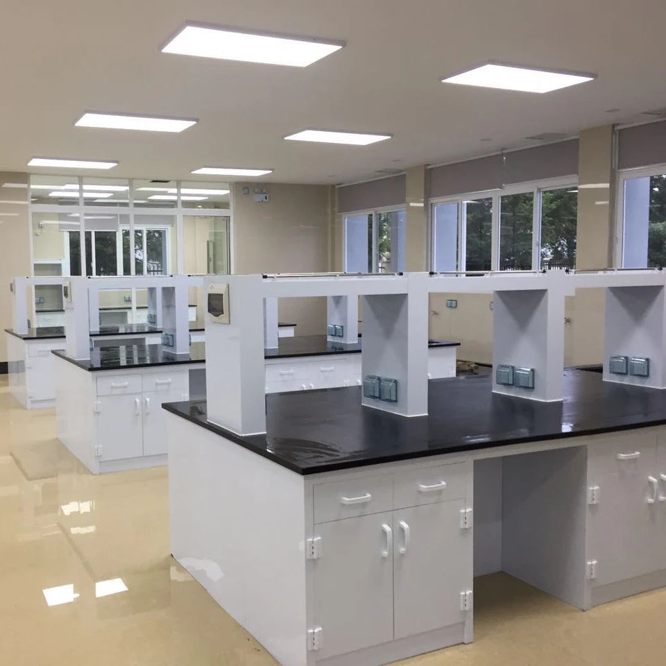 Laboratory PP Laboratory Workbench/Table Good at Chemical & Corrosion Resistance