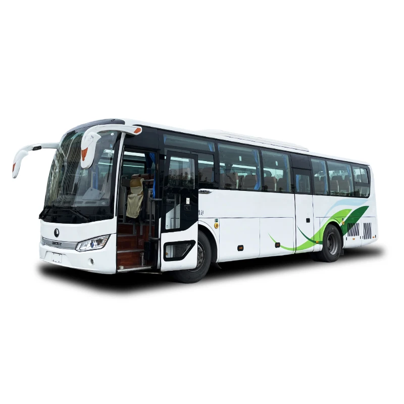 2019 Year Used 60 Seats Bus School Bus Second Hand Tourist Bus for Transport Company