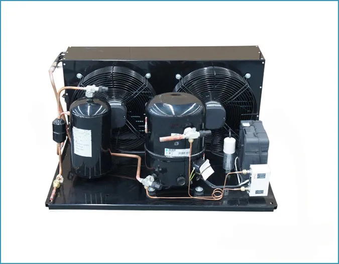 Внутренний конденсаторный блок 2 75 HP R404A 220