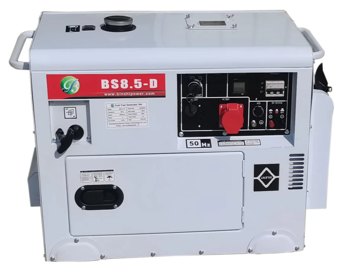 Gas Generator Set 8KW Silent Electric Petrol Engine LPG Generators