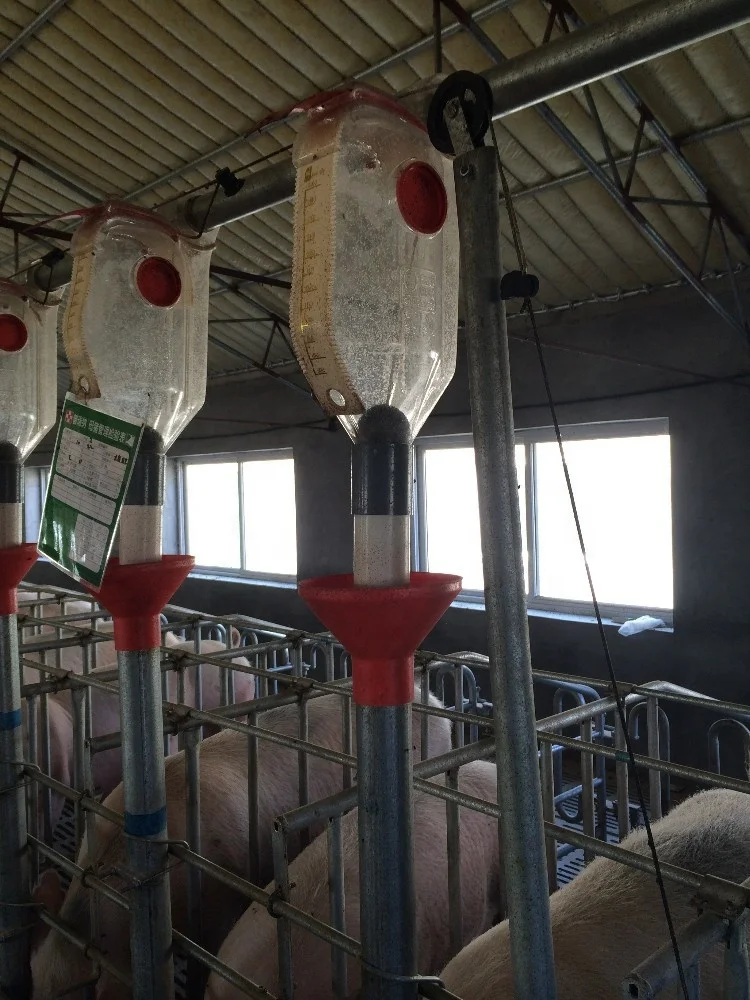 Metering drop feeder feeding system can control feed for pigs/cows