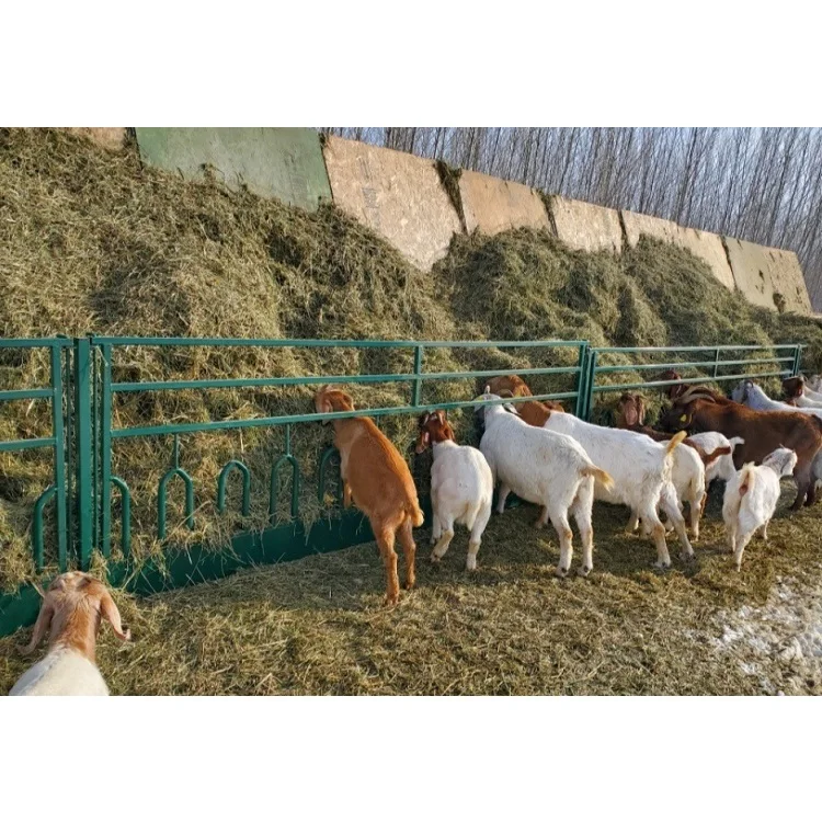 Ca US AU Farm Yard Corral/Heavy Duty Goat Sheep Fence & Gates/Portable Livestock  Equipment/Horse Round Pen Ranch Cattle Panels