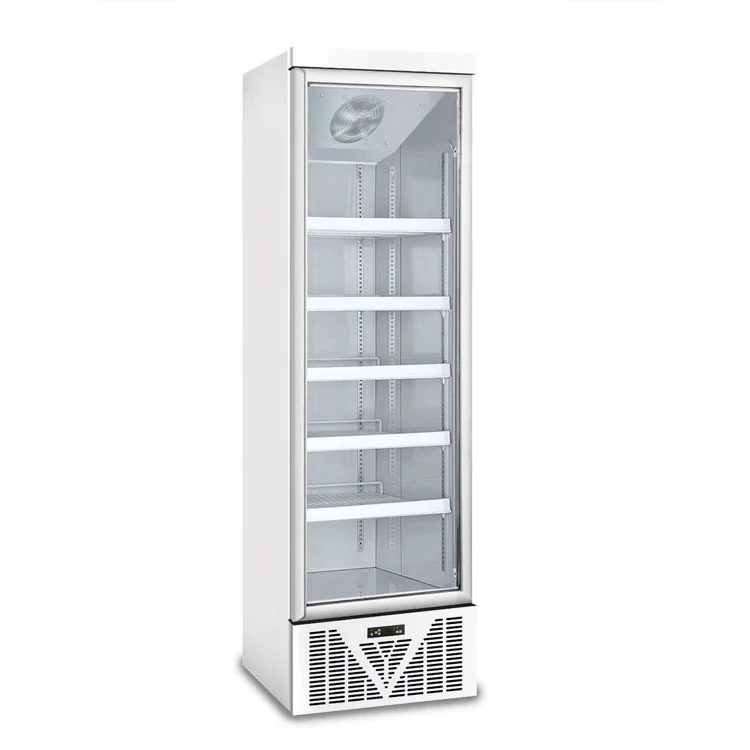 500L Китай один стеклянный дверной дисплей морозильник и охладитель витрина холодильник для
