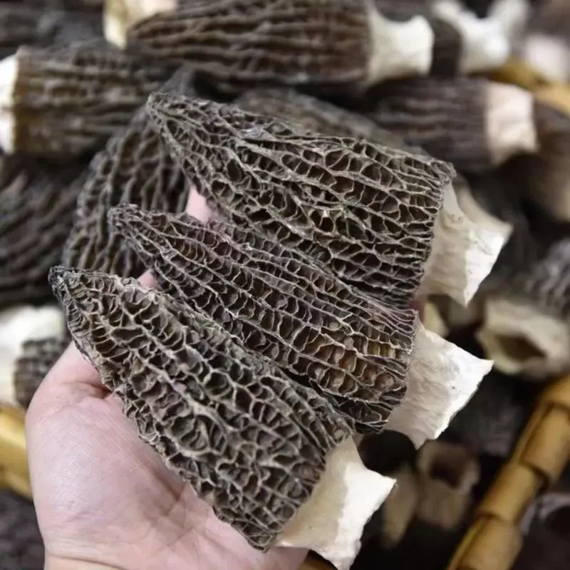 High Quality Dried Morchella Esculenta Truffle Whole Shiitake Mushroom Packaged in Bag Raw and Dried from Wild Source