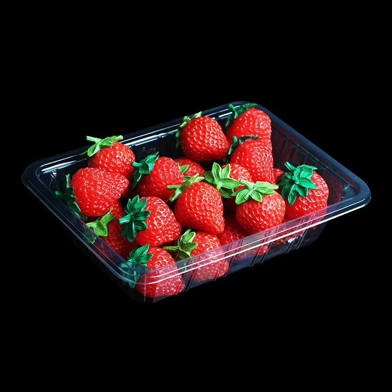 Disposable PET Plastic Food Trays Clear Fruit Food Packing Display for Dry Fruit Vegetable Snacks 19*14*2.5cm Plastic Dish
