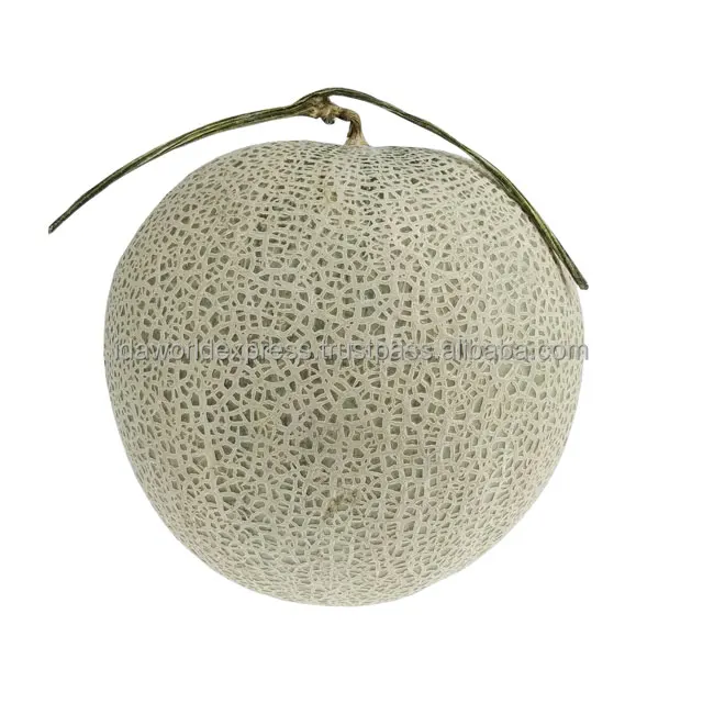 Дыня свежие дыни из фермы сладкий вкус воды Mellon лучшая Органическая свежая