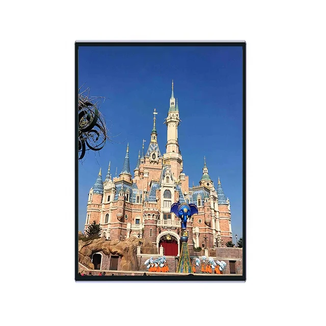 42 Inch Lcd Hd 3D Holographic Advertising Display Screen Digital Signage Kiosk For India