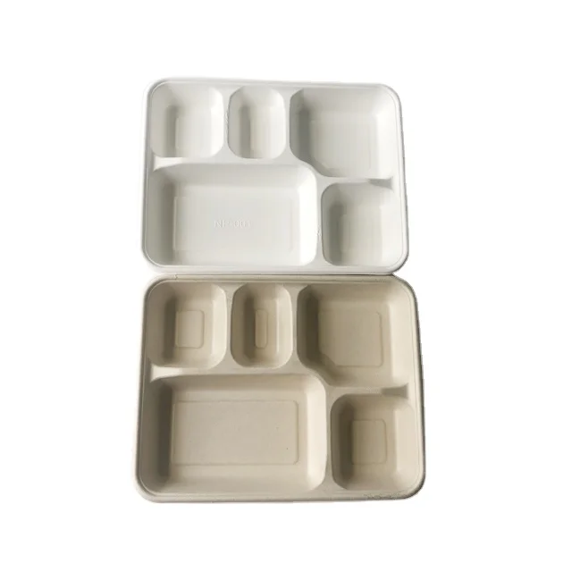 Compostable Большой 5 отсек sugarcane bagasse еда Фрукты Мясо поднос с сумкой/Крышка любимчика
