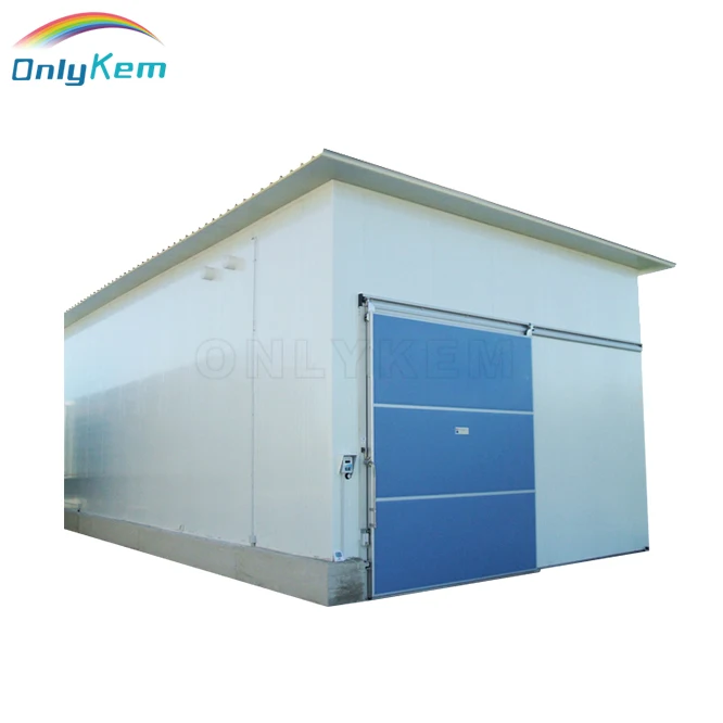 Замороженная холодильная камера для мяса и рыбы в гане