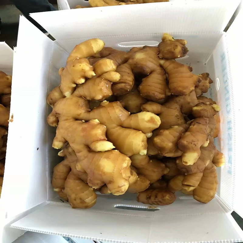 Available In Stock From Chinese For Sale At Good Prices Buy Newest Crop Fresh Ginger Vegetable