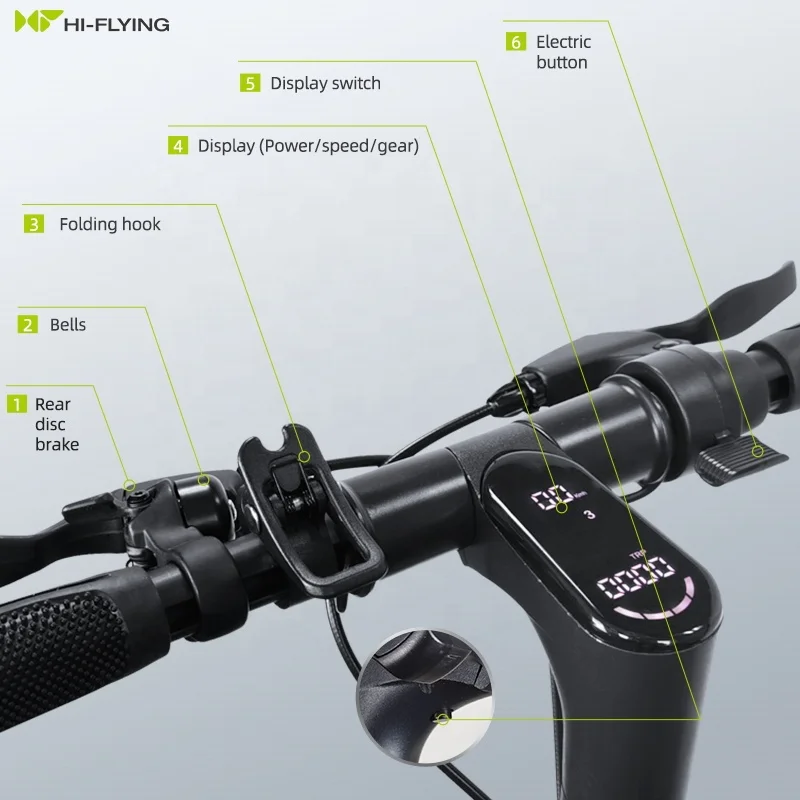 Foldable dual disc brake 250w gear motor electric scooter mope OEM scooter elettr electric scooter