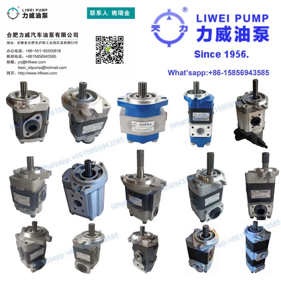 Since 1956 Hefei Liwei Forklift Hydraulic Pump for Hystera CBHZB-F32-AT 66002700