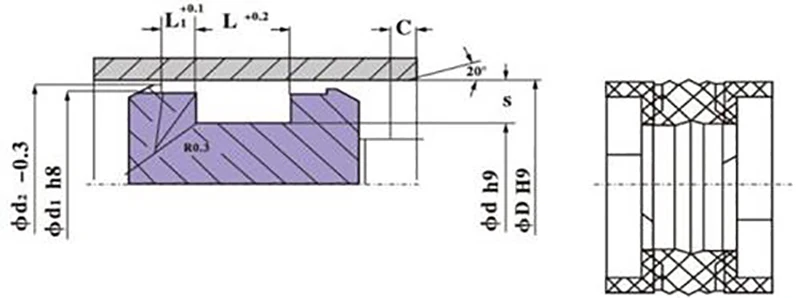 Piston seal DAS Compact Seal for engineer hydraulic seal