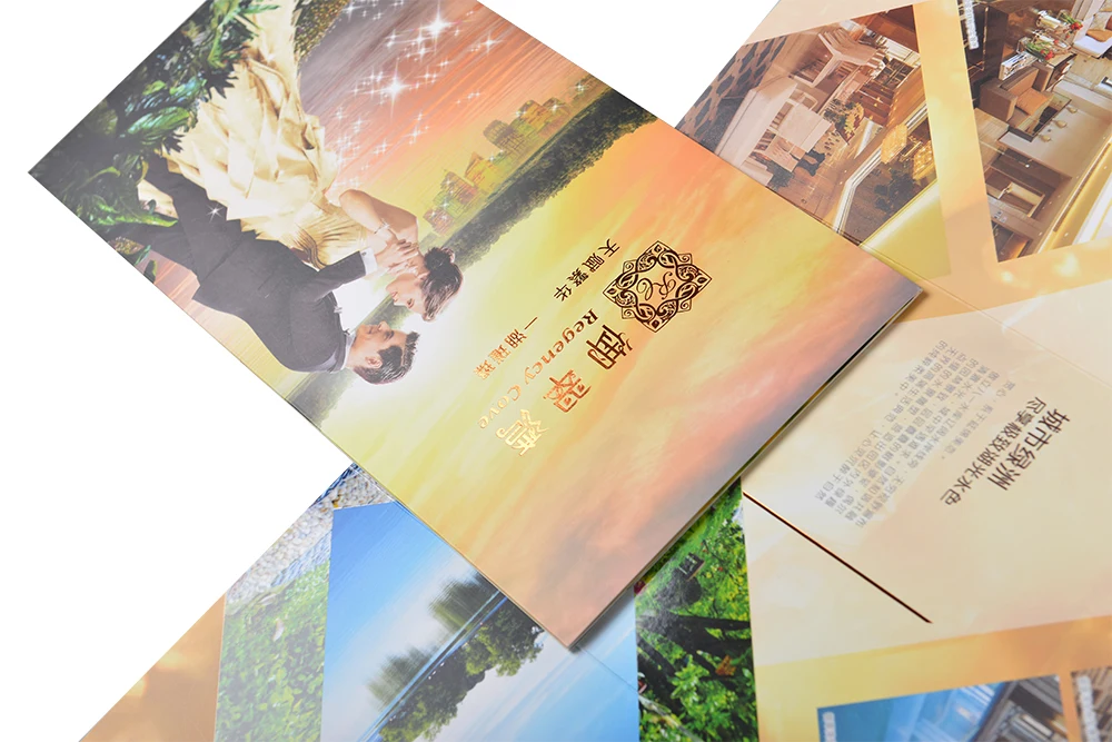 GIGO Chinese Manufacturer Printing Company Brochure Product Catalog Brochure at Low Price