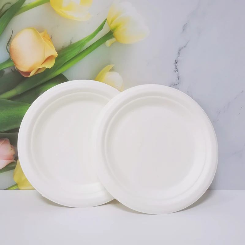 6 inches Disposable dinner plate biodegradable disposable plates sets dinnerware wholesaler