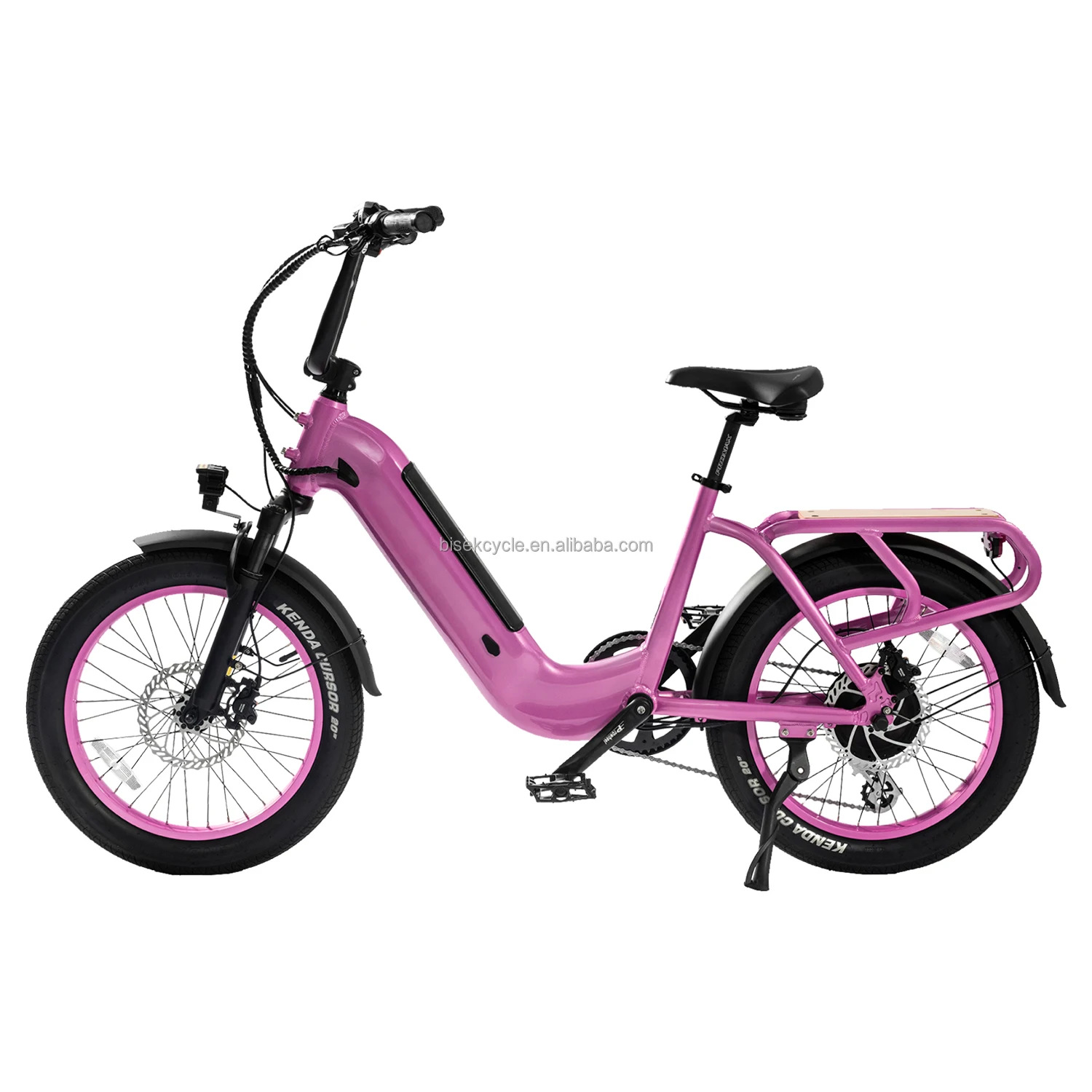 OEM 2024 OEM Factory Direct Supply Customized Color Fat Tire Lithium Battery Hydraulic Disc Electronic Ebike For Outdoor