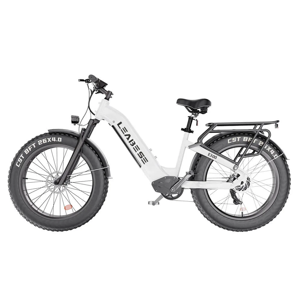 US Warehouse E Bike E-Bike Dual Motor 750w Electric Bike Adult Strong Power Electric Bicycle City Ebike