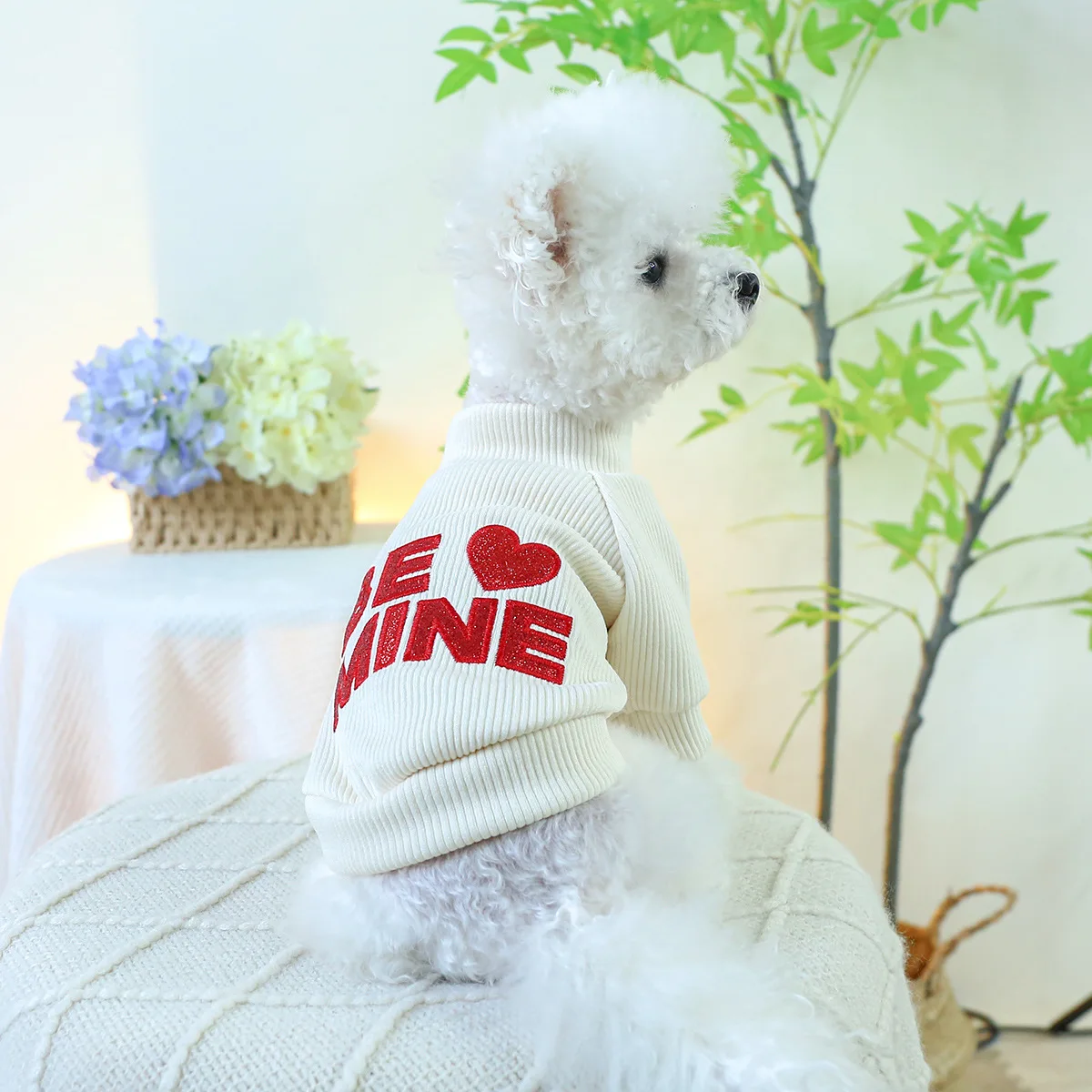 Fall Winter Pet Dogs Clothes Fashion Design Dog Clothing Pet Clothes Letters Embroidery Twoo Feet Dog Sweater Shirt