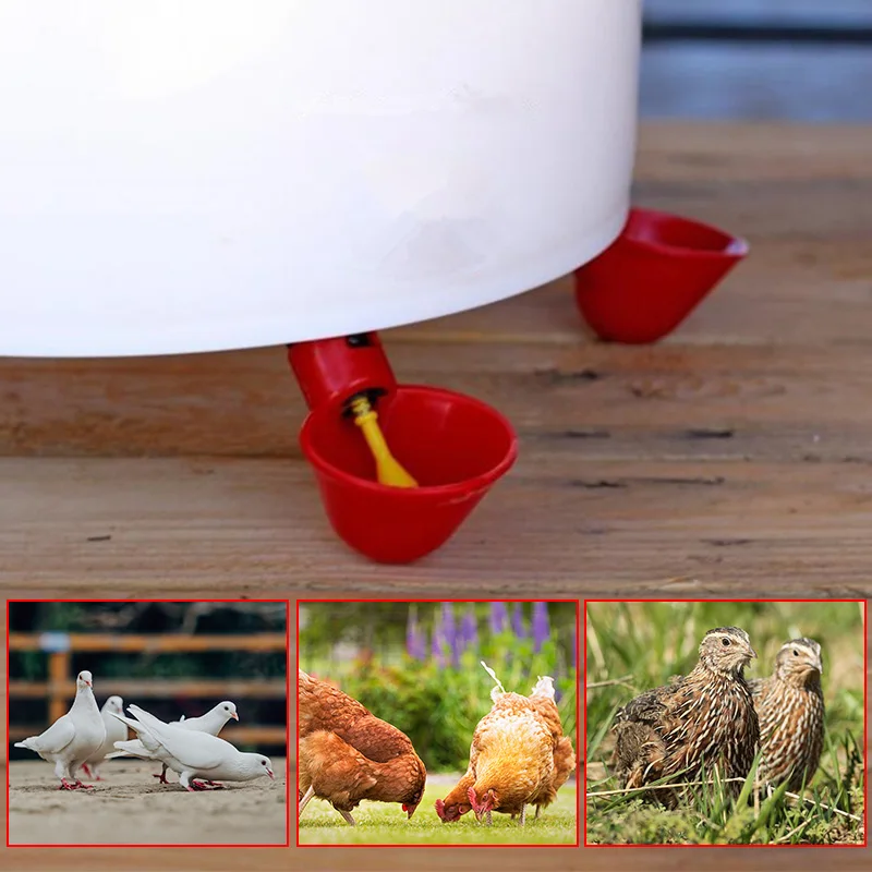 Hot Sale Plastic Bird Water Drinker Automatic Bird Quail Pigeon Drinking Water Cup Chicken Water Drinker for Sale