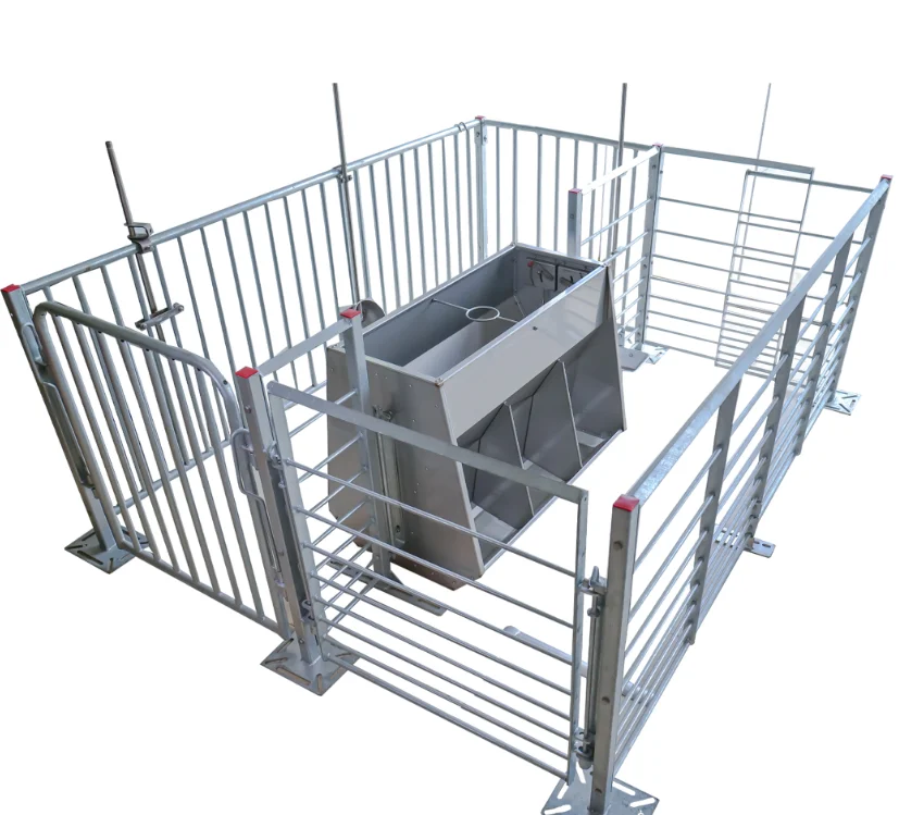 China manufacture Pig farming equipment automatic use Pig cage pig gestation crate