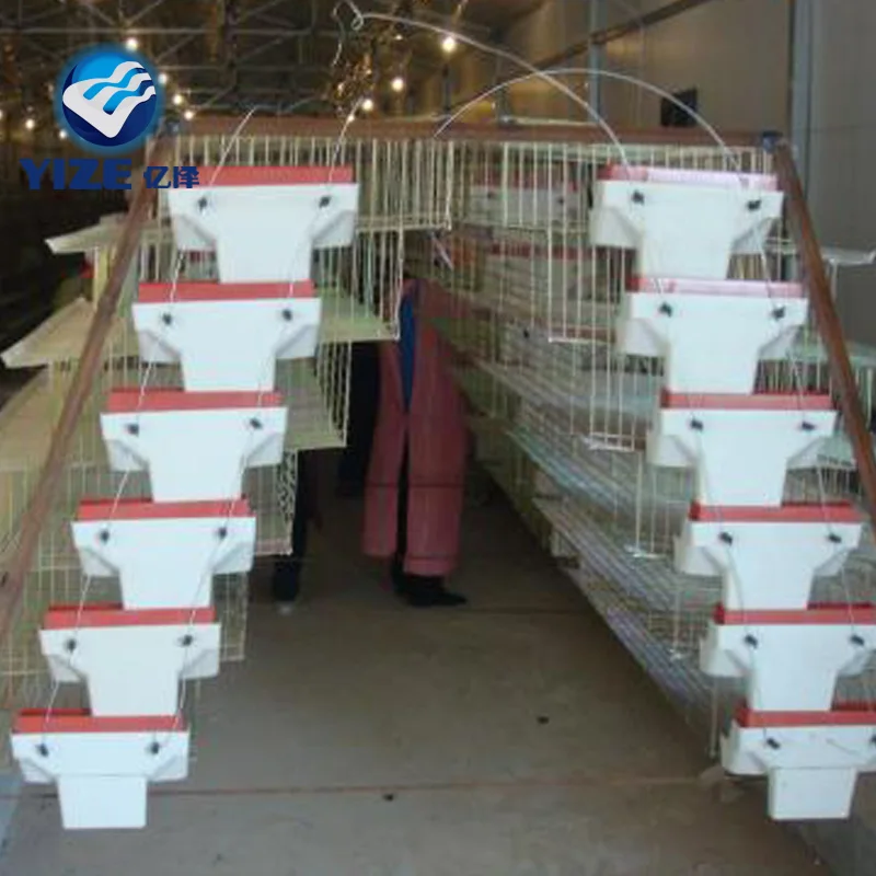 Fully automatic quail farm quail cages and equipment 6layer for sale