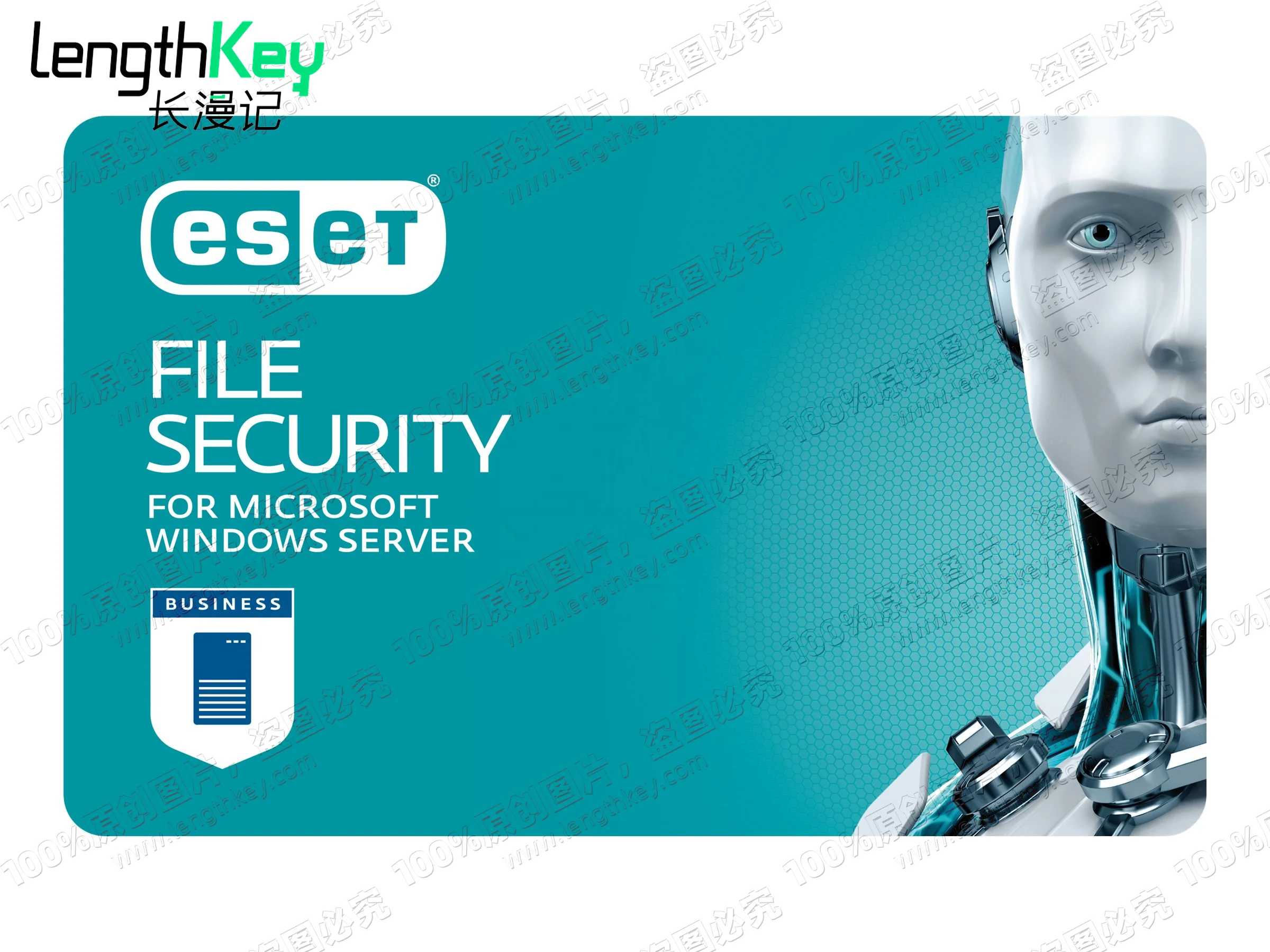 Genuine License ESET Server/File Security Key 1 Device 3 Year Privacy Protection Antivirus Software Nod32 AntiVirus