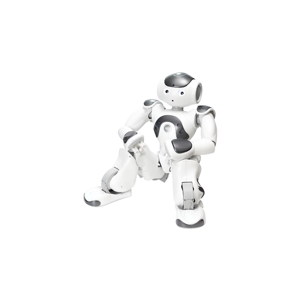 SoftBank Smart Robot Toys Humanoid Programmable Artificial Intelligent Facial Recognition Educational Toy Robots NAO