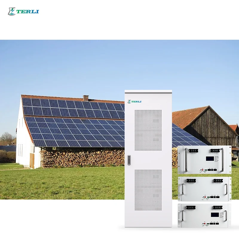 Terli Deep Cycle Long Life Lifepo4 Server Rack Battery 48v 100ah 200ah Lituium Ion Battery