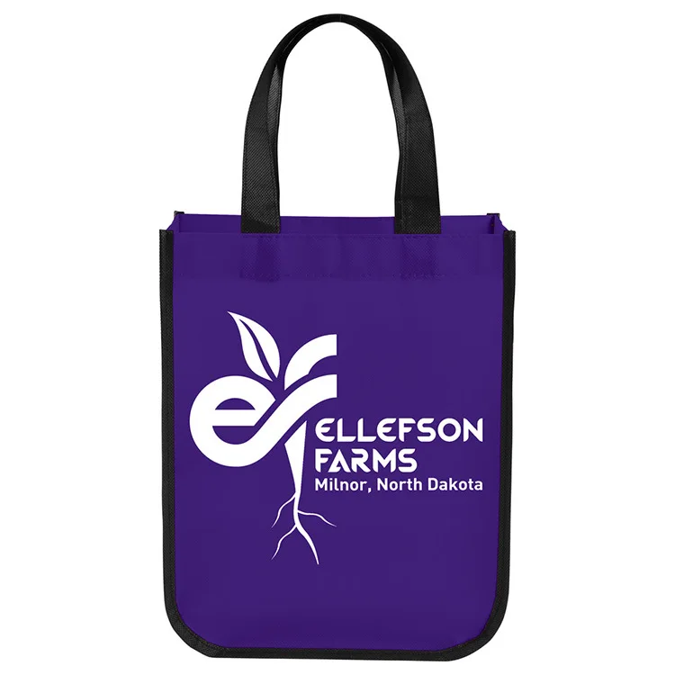 High Quality Reusable Non-Woven Shopping Bags Custom OEM Gift Bags Small Promotional High Quality Collection