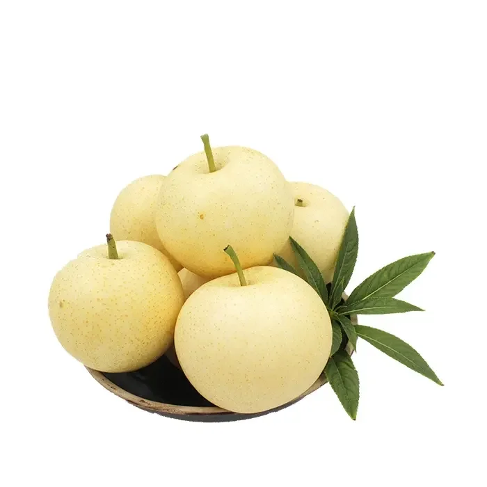 New season of Fresh China Golden Pear/Century Pear/Crown Pear for sale Asian Pears Ya Sand Pear with cheap price