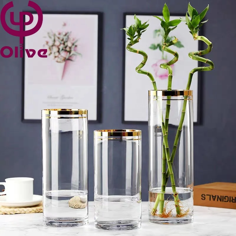 Smart reusable Eco-friendly water nourishing decorative cylindrical thickened grinding hand gold rimmed straight glass vase