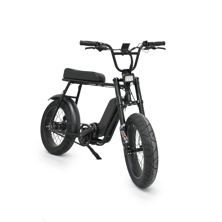 2021 Марио ретро тип 1000 Вт bafang bbshd Средний мотор ebike с ремень gates