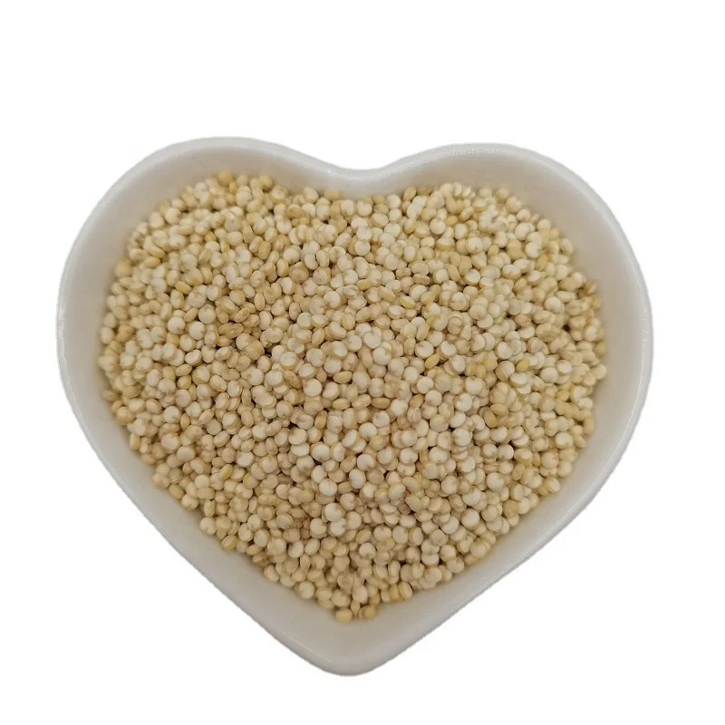 China Hot sale premium conventional dried white Quinoa Gluten-free  Organic white Quinoa
