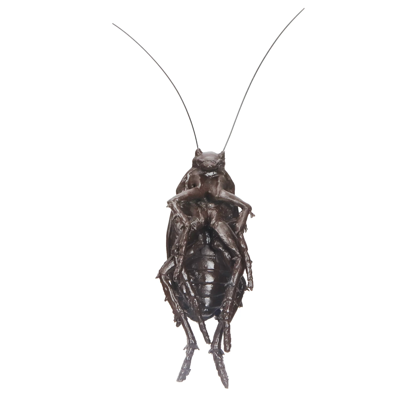 
Molezu naughty toys big cockroach halloween home decor halloween decoration party supplies 
