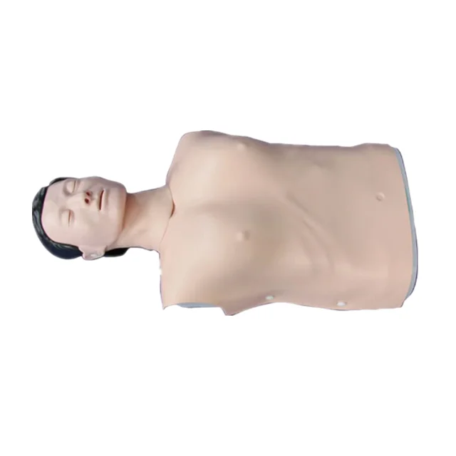 Medical Science Human Half Body CPR Training Manikin Model (Male)