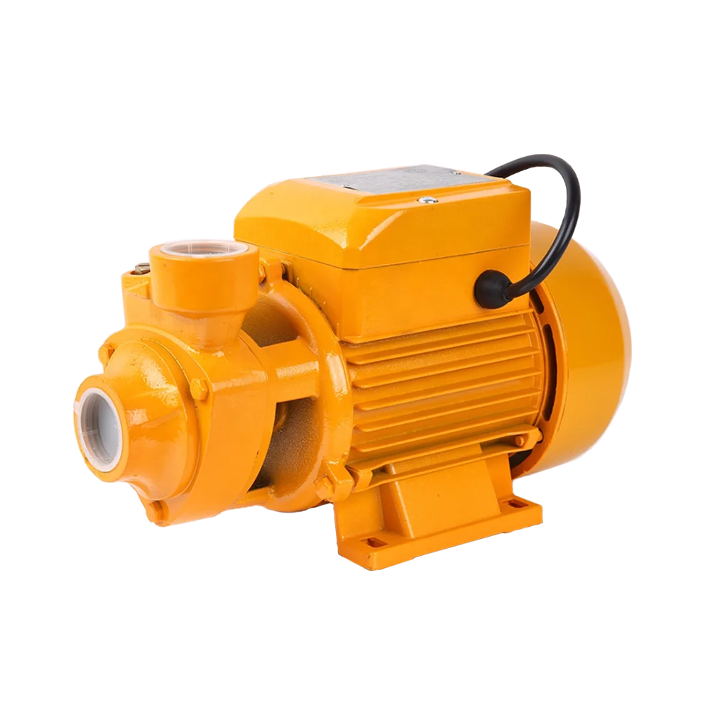RUIQI Factory Wholesale QB60 0.37kW Electric Motor Pumps Peripheral Vortex Pompa Houseuse Pressure 1/2 hp Water Pump