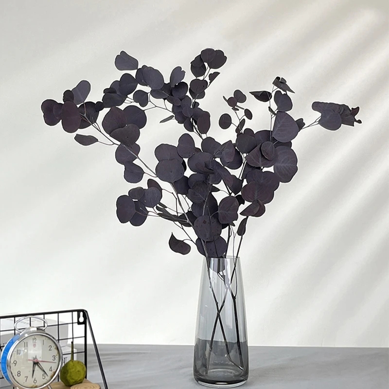 Dried Preserved Eucalyptus Stems Natural Silver Dollar Leaves Real Fresh Eucalyptus Plant Branches wreath home wedding decor