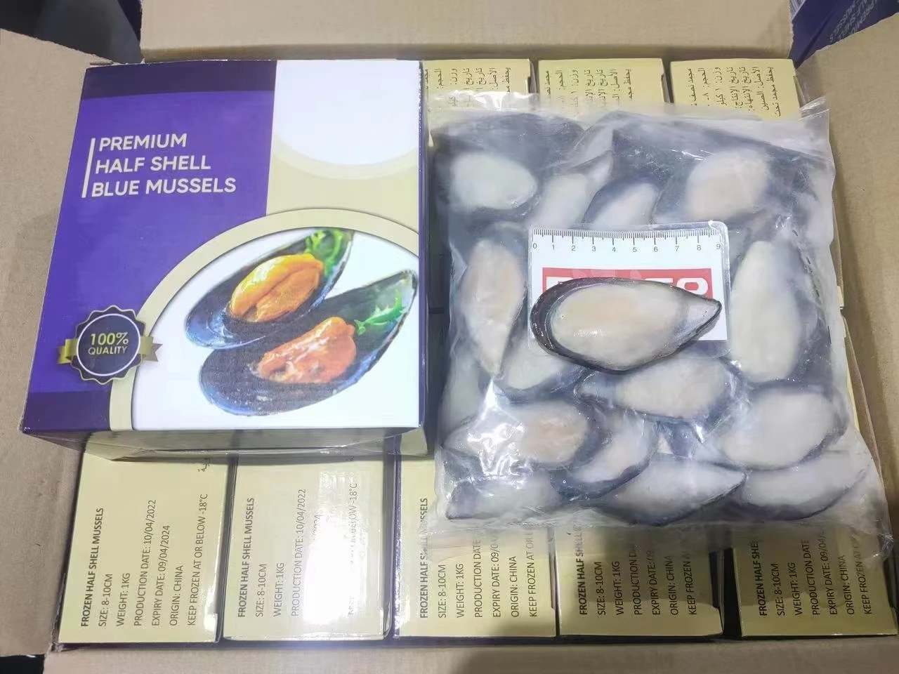 Seafood Mytilus Edulis Good Packaging Mussel Meat Frozen Half Shell Mussel