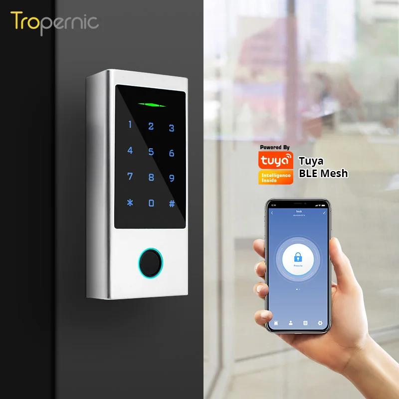 Biometric Code Ip66 Wireless Rfid Card Cerradura Inteligente Wifi Tuya Fingerprint Smart Access Control System