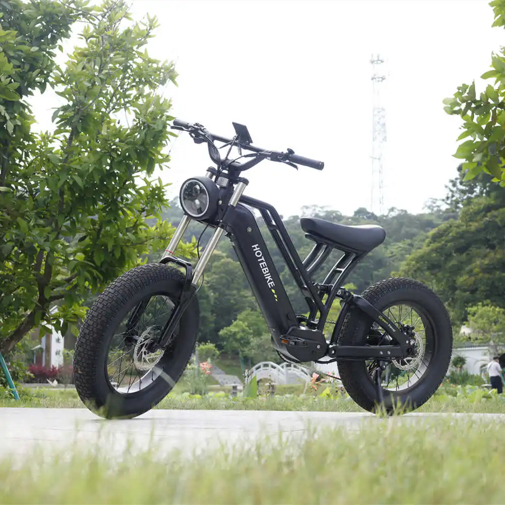 factory Outlet baycle bicycle electric city bike 500w e bikes electric mountain bike motorcycle750w  fat