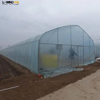Fruit Growing Hoop House Single Span Agricultural Greenhouse Tunneling For Fruit/ Strawberry/Blueberry/Cherry/Grape Growing