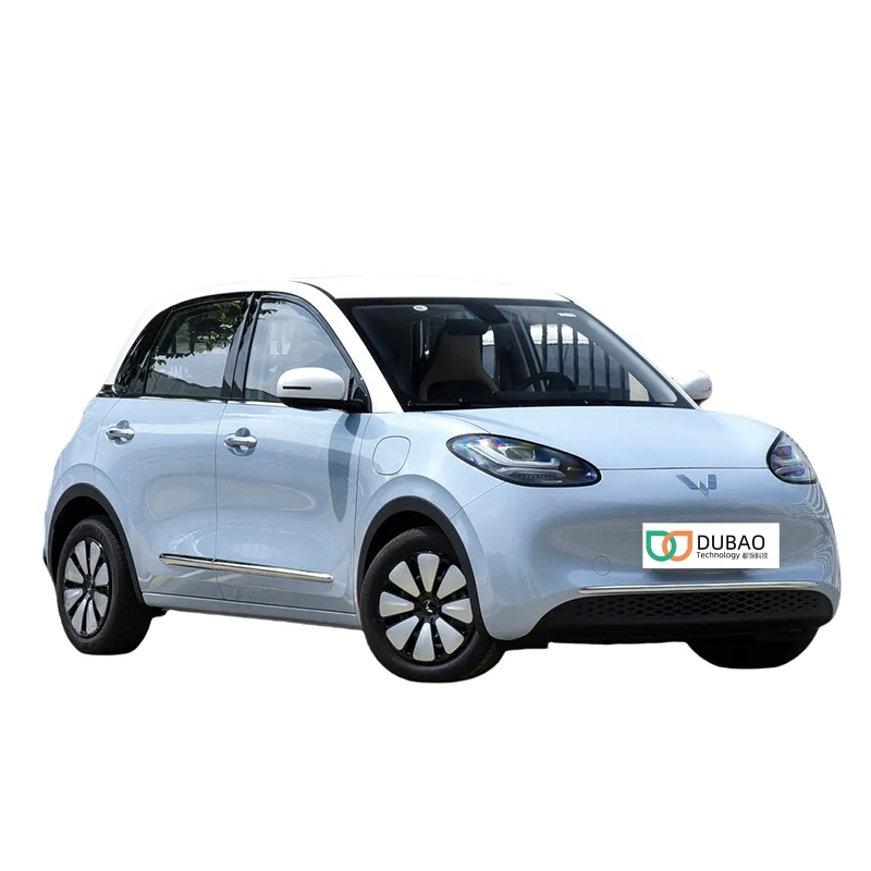 New 2023 Wuling Binguo 5 Door 4 Seat Cute Small Car For Adult New Energy Vehicles Pure Electric Mini Ev Car Wuling Bingo 2024