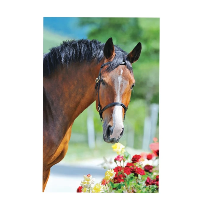 
high quality bear lenticular 5d pictures 