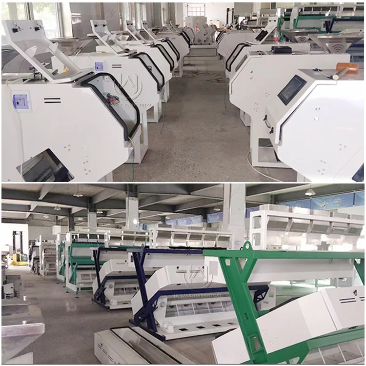 50-1500kg/h rice colour sorting machine color sorter mayer lentil color sorting machine sunflower seeds color sorting machine