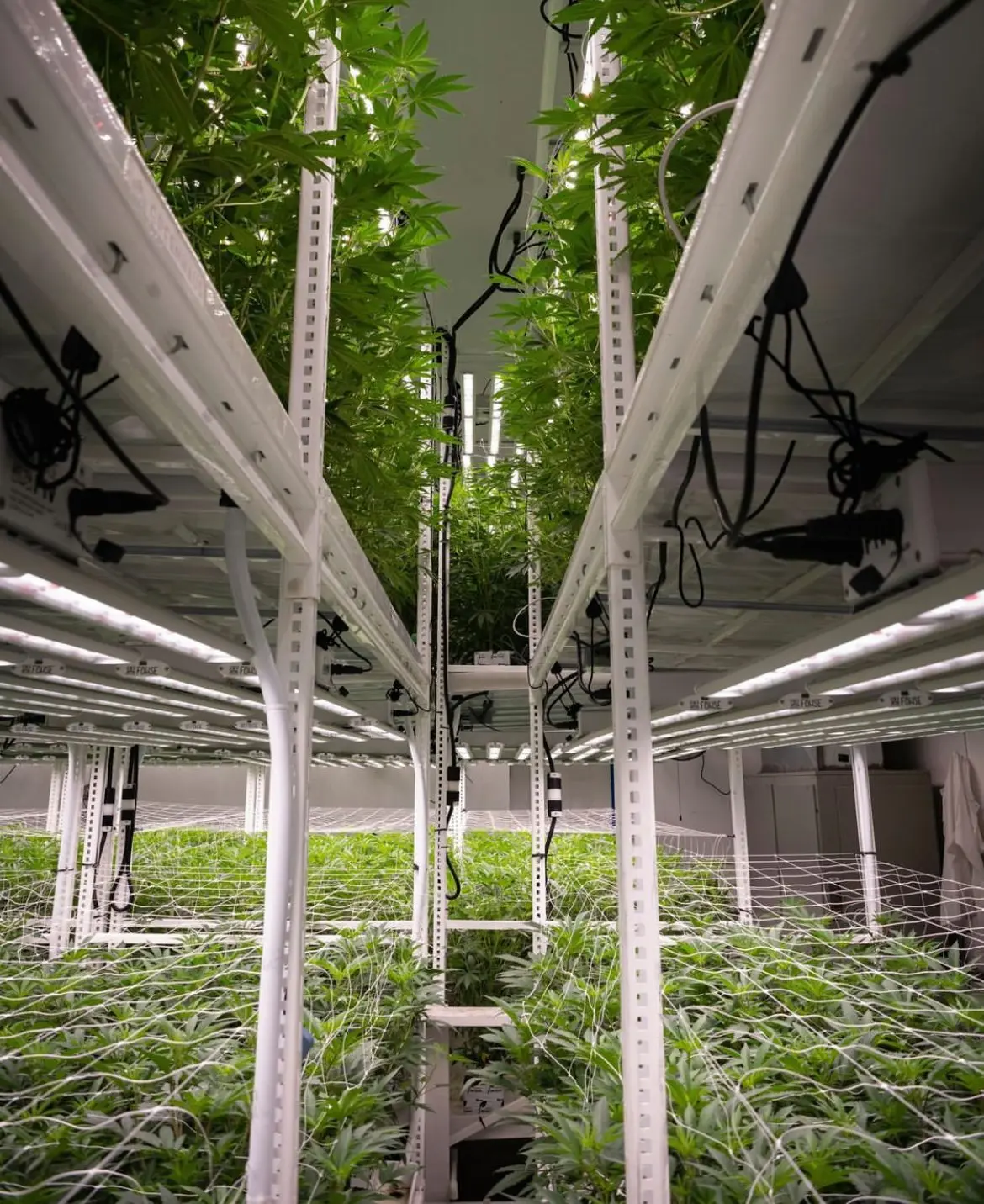 Irrigation Hydroponics Equipment Indoor Growing Rack Systems